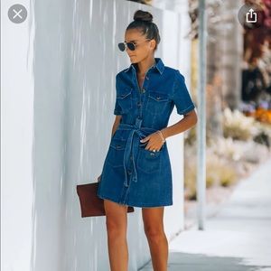 Vick Last Call pocketed denim button down dress